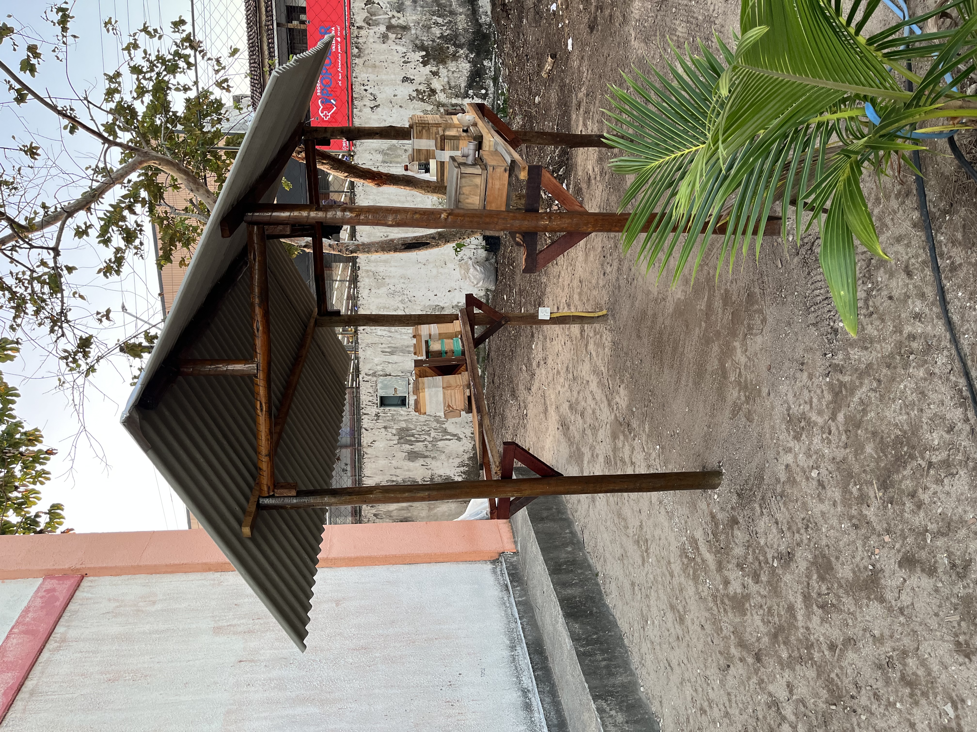 Meliponario Escolar